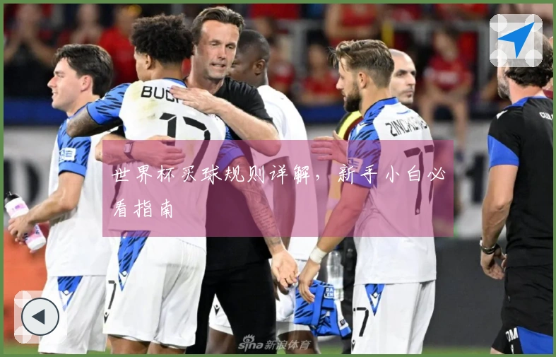 世界杯买球规则详解，新手小白必看指南