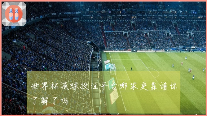 世界杯滚球投注平台哪家更靠谱你了解了吗