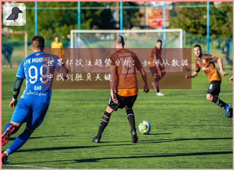 世界杯投注趋势分析：如何从数据中找到胜负关键