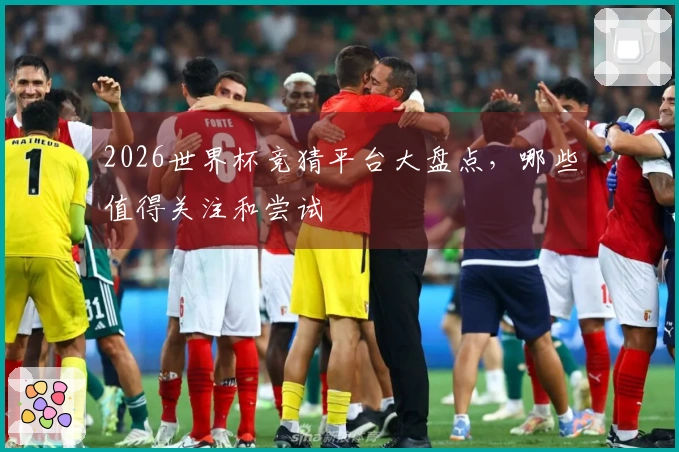 2026世界杯竞猜平台大盘点，哪些值得关注和尝试