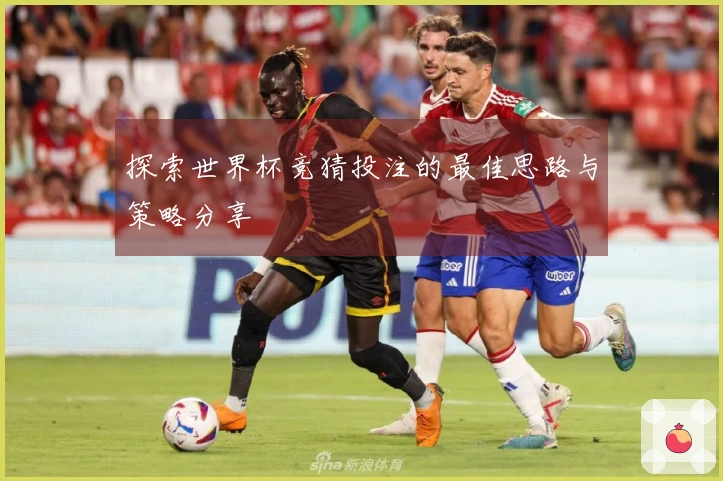 探索世界杯竞猜投注的最佳思路与策略分享