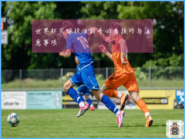 世界杯买球投注新手必看技巧与注意事项
