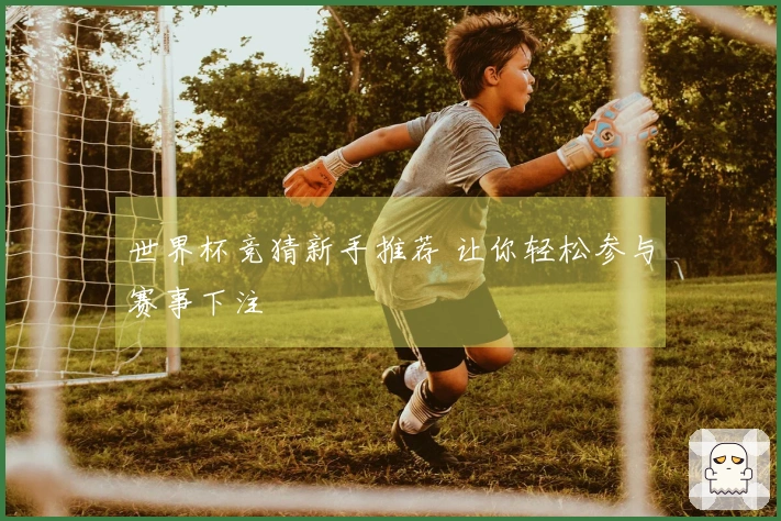 世界杯竞猜新手推荐 让你轻松参与赛事下注