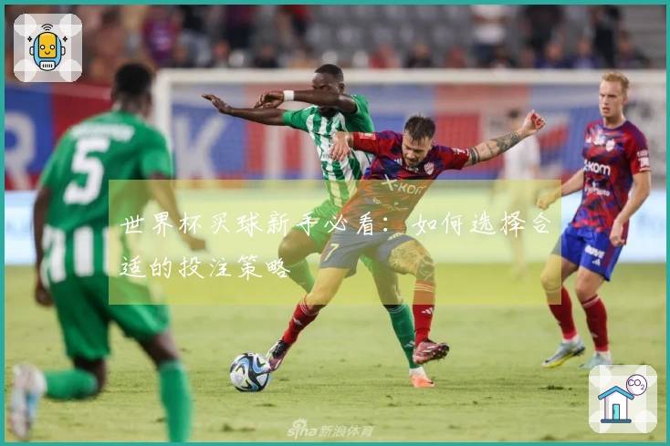 世界杯买球新手必看：如何选择合适的投注策略