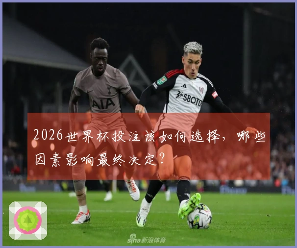 2026世界杯投注该如何选择，哪些因素影响最终决定？