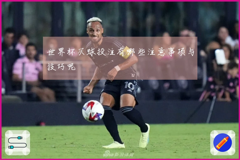 世界杯买球投注有哪些注意事项与技巧呢