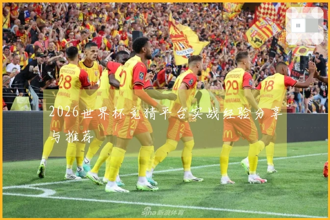 2026世界杯竞猜平台实战经验分享与推荐
