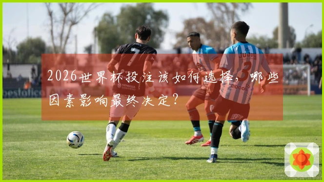 2026世界杯投注该如何选择，哪些因素影响最终决定？