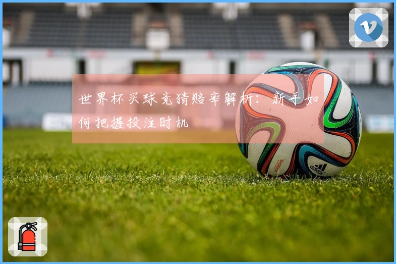 世界杯买球竞猜赔率解析：新手如何把握投注时机