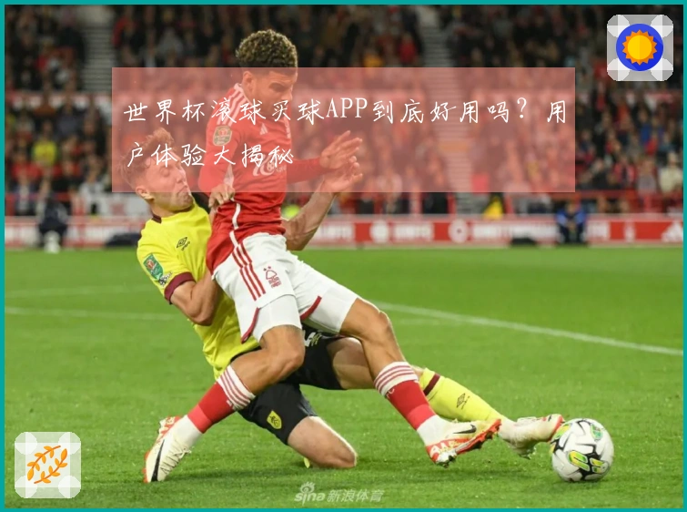 世界杯滚球买球APP到底好用吗？用户体验大揭秘
