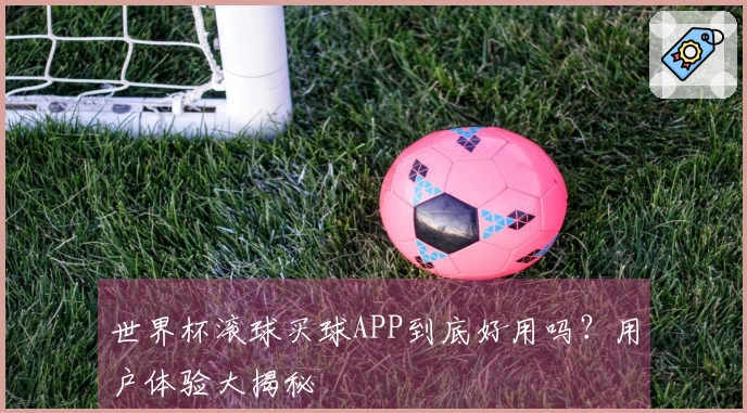 世界杯滚球买球APP到底好用吗？用户体验大揭秘