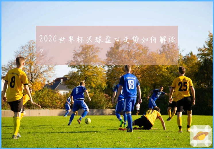2026世界杯买球盘口走势如何解读？