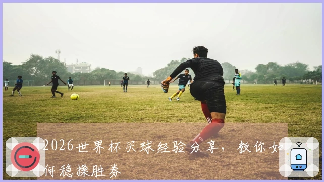 2026世界杯买球经验分享，教你如何稳操胜券