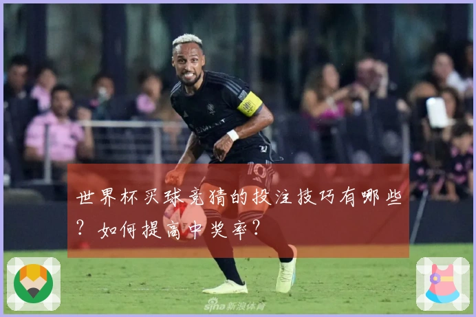 世界杯买球竞猜的投注技巧有哪些？如何提高中奖率？