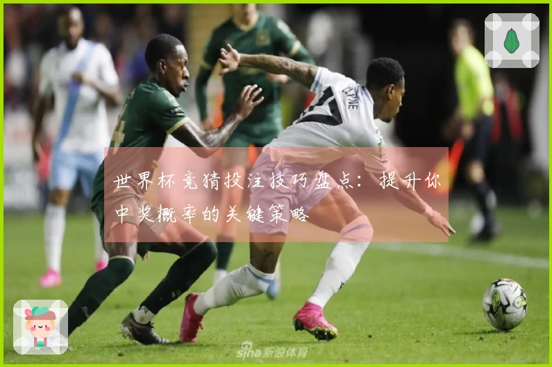 世界杯竞猜投注技巧盘点：提升你中奖概率的关键策略