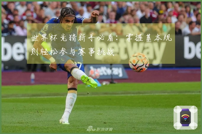 世界杯竞猜新手必看：掌握基本规则轻松参与赛事挑战