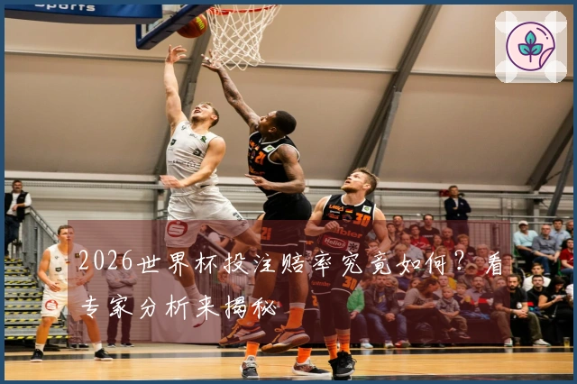 2026世界杯投注赔率究竟如何？看专家分析来揭秘