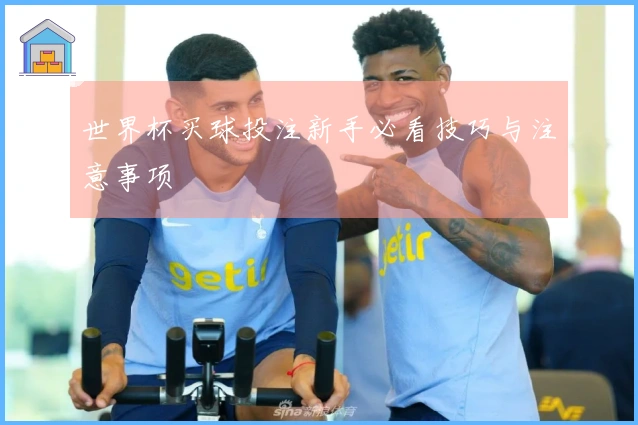 世界杯买球投注新手必看技巧与注意事项