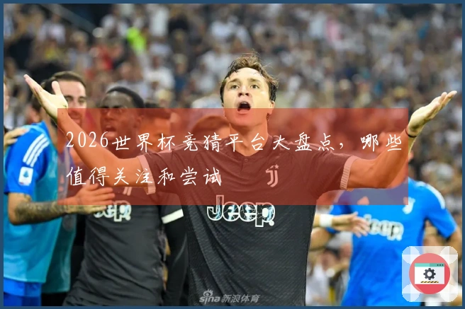 2026世界杯竞猜平台大盘点，哪些值得关注和尝试
