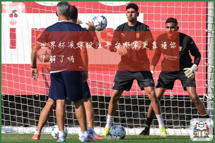 世界杯滚球投注平台哪家更靠谱你了解了吗