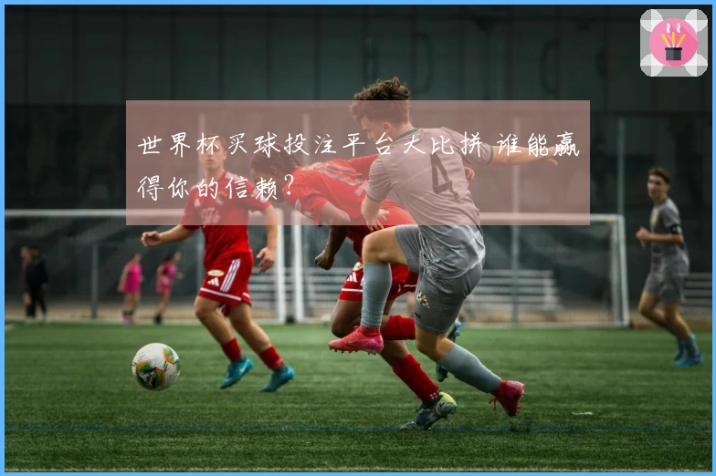 世界杯买球投注平台大比拼 谁能赢得你的信赖？