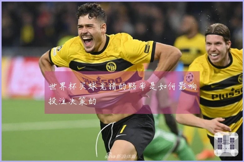 世界杯买球竞猜的赔率是如何影响投注决策的