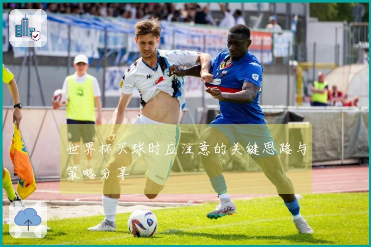 世界杯买球时应注意的关键思路与策略分享